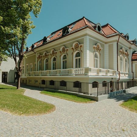 Boutique Hotel Cocosul De Aur Тыргу-Муреш Экстерьер фото
